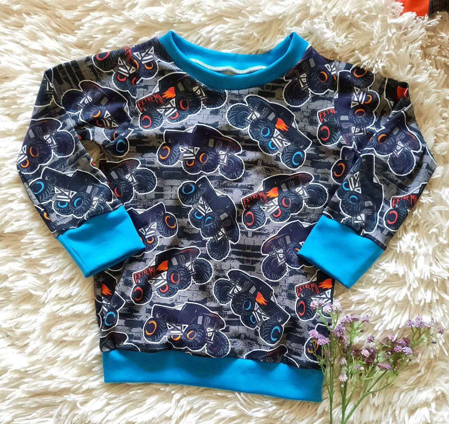 Größe 104/110 Hoodie / Pullover, Autos, Monstertruck
