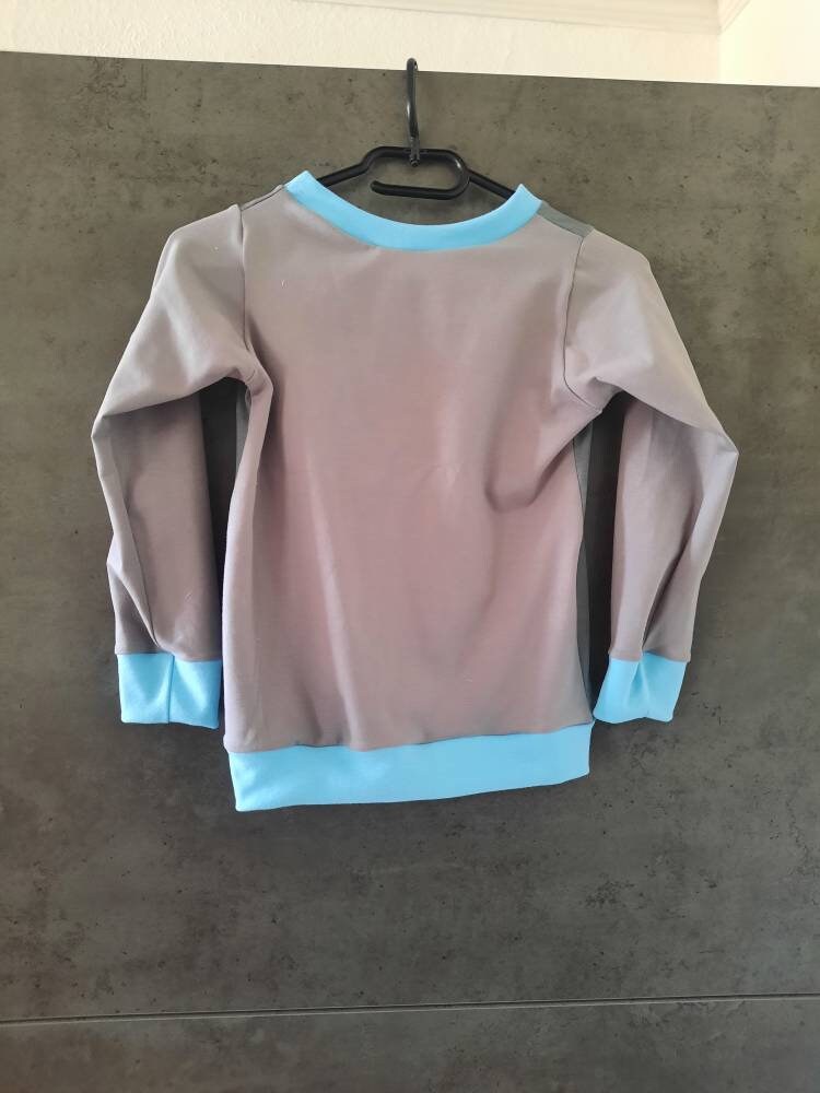 Pullover / Hoodie Gr. 116/122 - Bibi und Tina, Pferde, Pferd