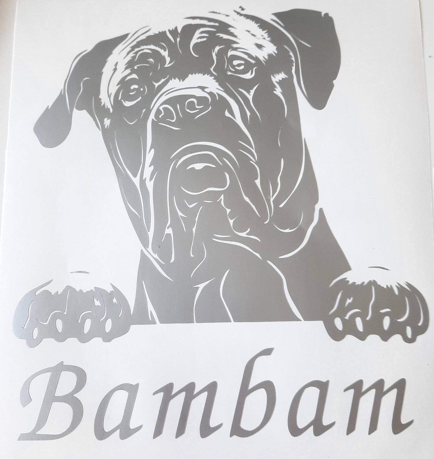Cane Corso, Aufkleber - Autoauflkeber, Vinylaufklber