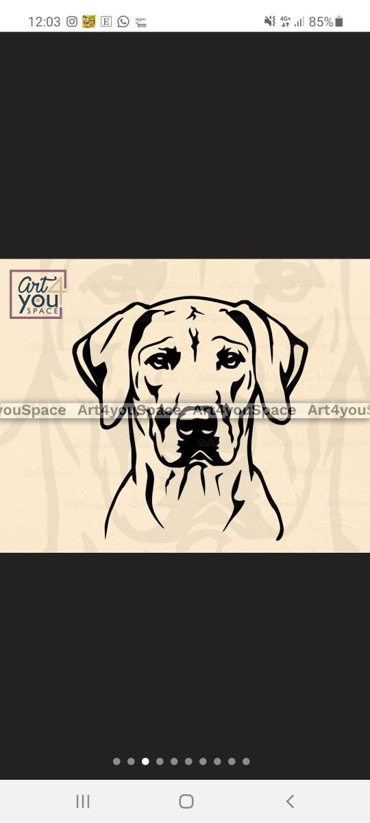 Leuchtflasche mit Boxer, Shar Pei, Hunderasse Dackel, Pudel, Bulldogge, Maltheser, cane Corso, Mops, Rottweiler, Labrador, Retriver, Dogge