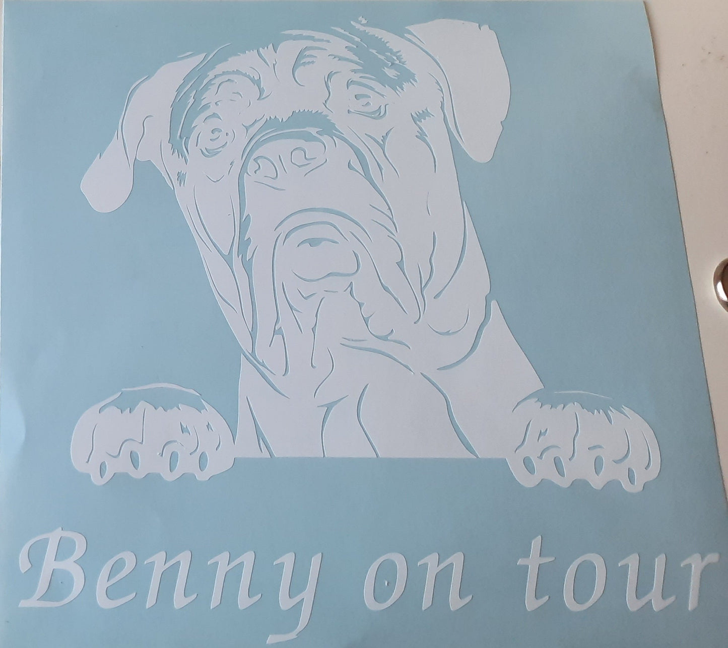 Cane Corso, Aufkleber - Autoauflkeber, Vinylaufklber