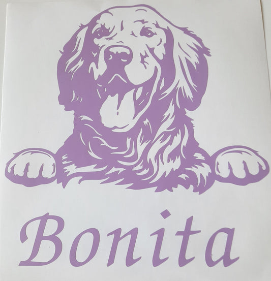 Golden Retriever, Aufkleber - Autoauflkeber, Vinylaufklber