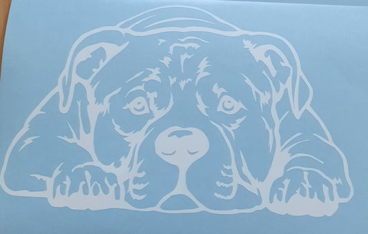 American Bully, Aufkleber - Autoauflkeber, Vinylaufklber