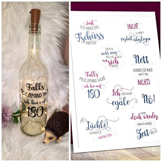 Leuchtflaschen mit Spruch, Licht, lustig, frech, egal