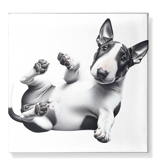 Verrückter Bullterrier - Leinwand 50x50cm